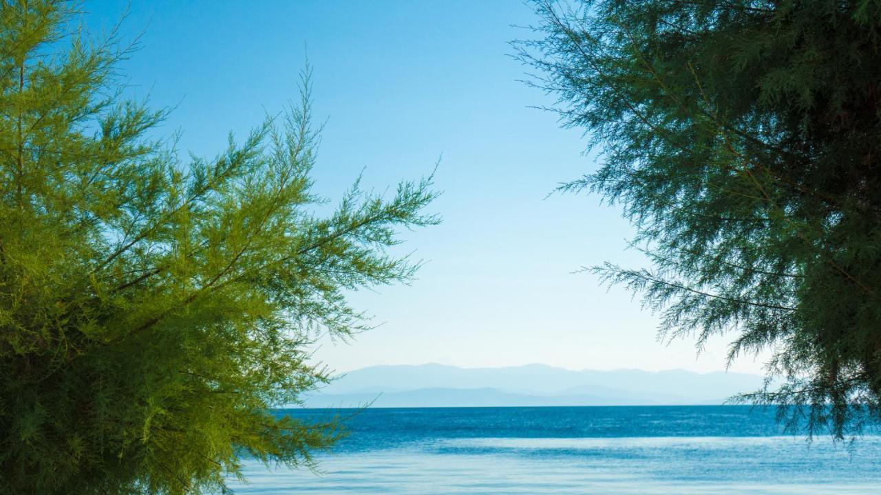 Afissos Seaside Studios Kültér fotó